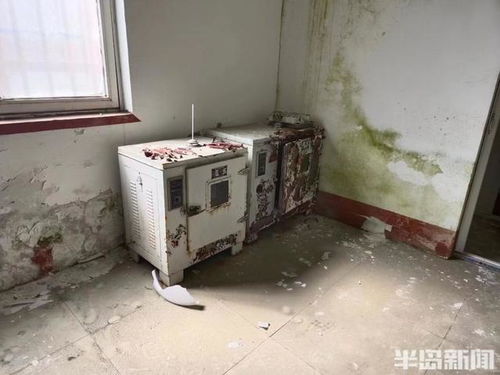 半島調查丨天花板坍塌 車間成廢墟 響當當的老字號竟變成了這樣 它還能再 香 嗎